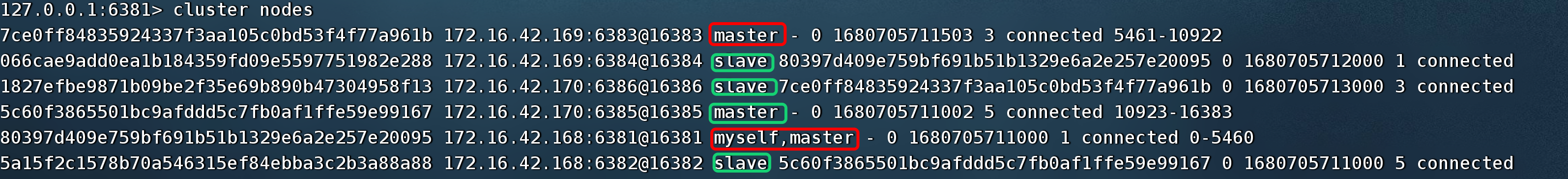 cluster nodes