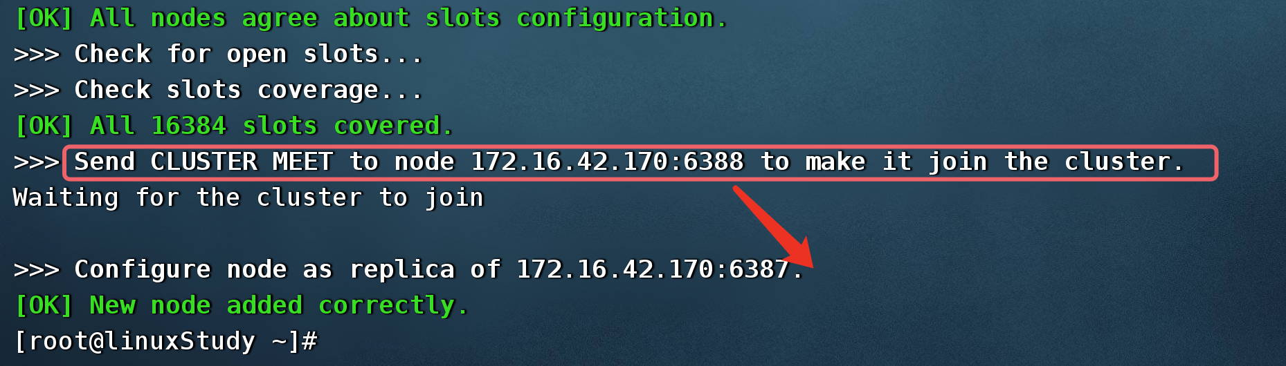 image-20230405234941896