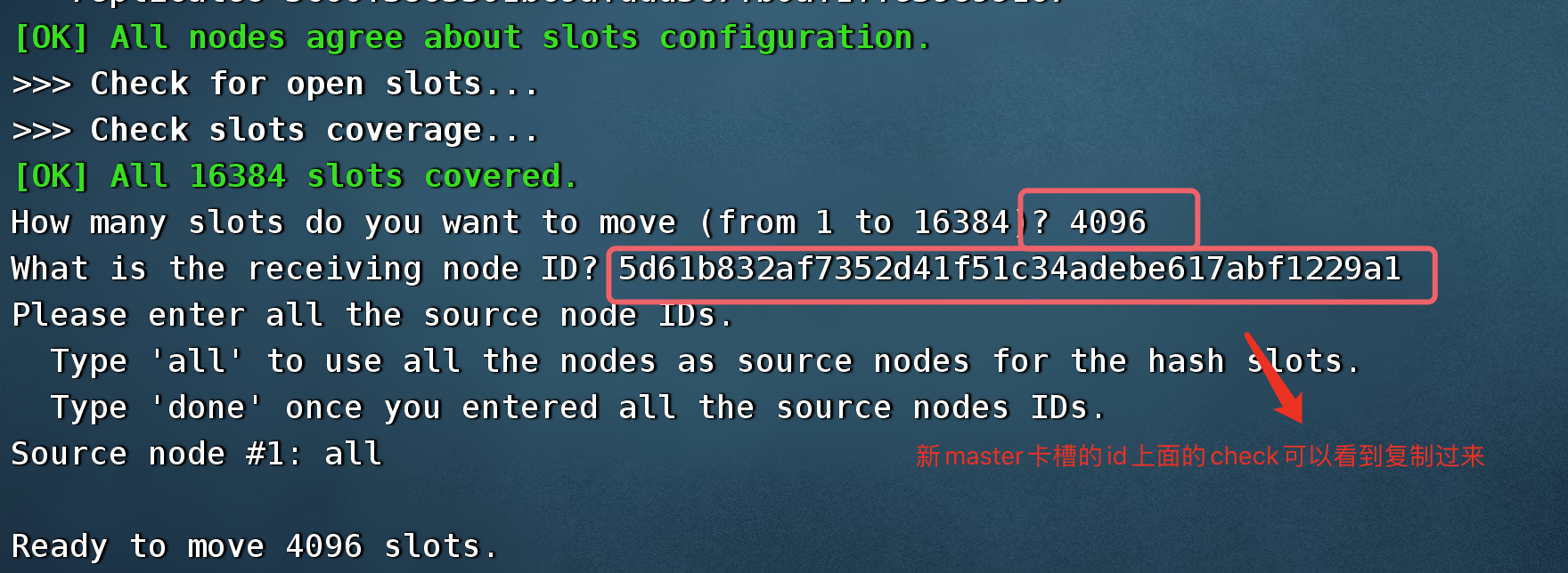 image-20230405234018353