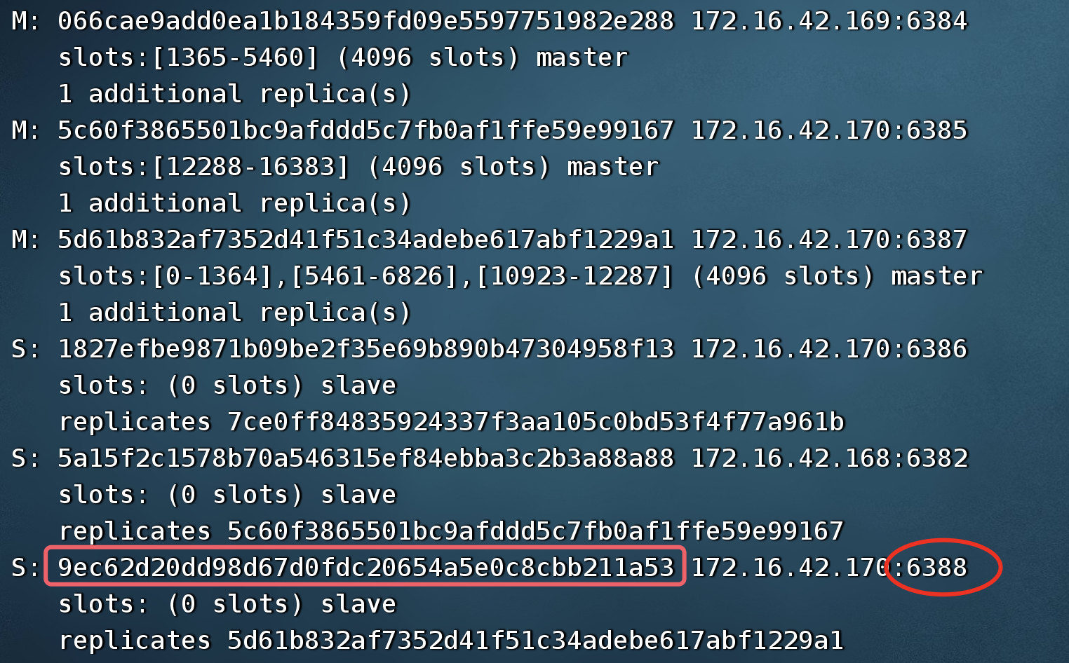 image-20230406000448965